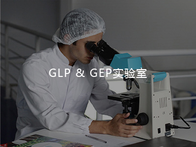 GLP&GEP实验室先容