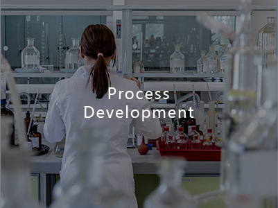Process Development