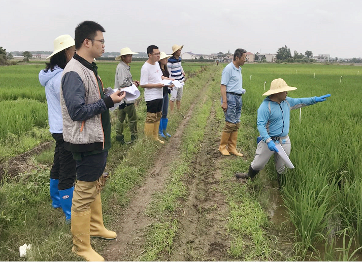 918博天堂国际自主立异新品迎来年内首轮大考